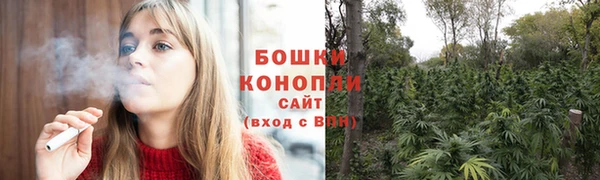 гашик Вязьма