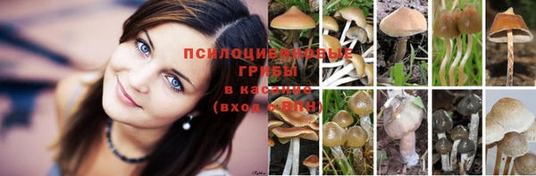 соль ск Вязники