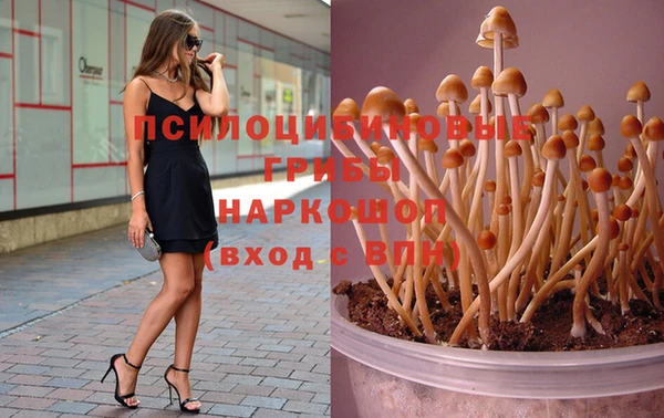 кокаин премиум Вяземский