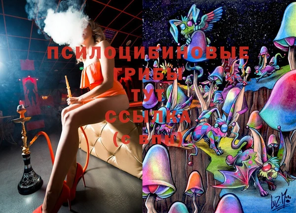 гашик Вязьма