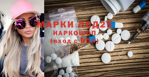 гашик Вязьма