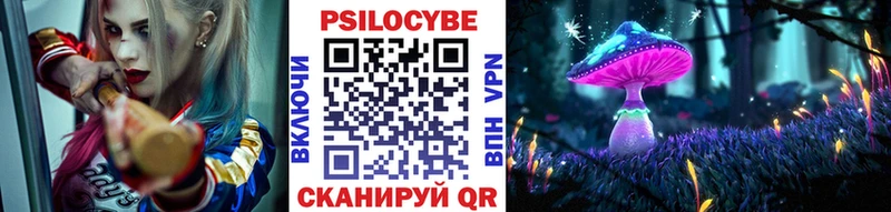 Галлюциногенные грибы Psilocybe  Зубцов 